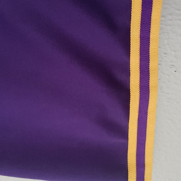 LSU Skirt Cheerleader Mascot  Youth 12 Purple And Gold Geaux 🐅 Tigers - Picture 2 of 6